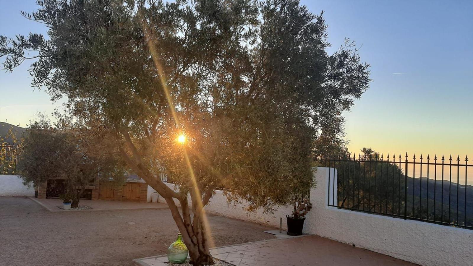 Cortijo Blanco Villa Albondon Bagian luar foto