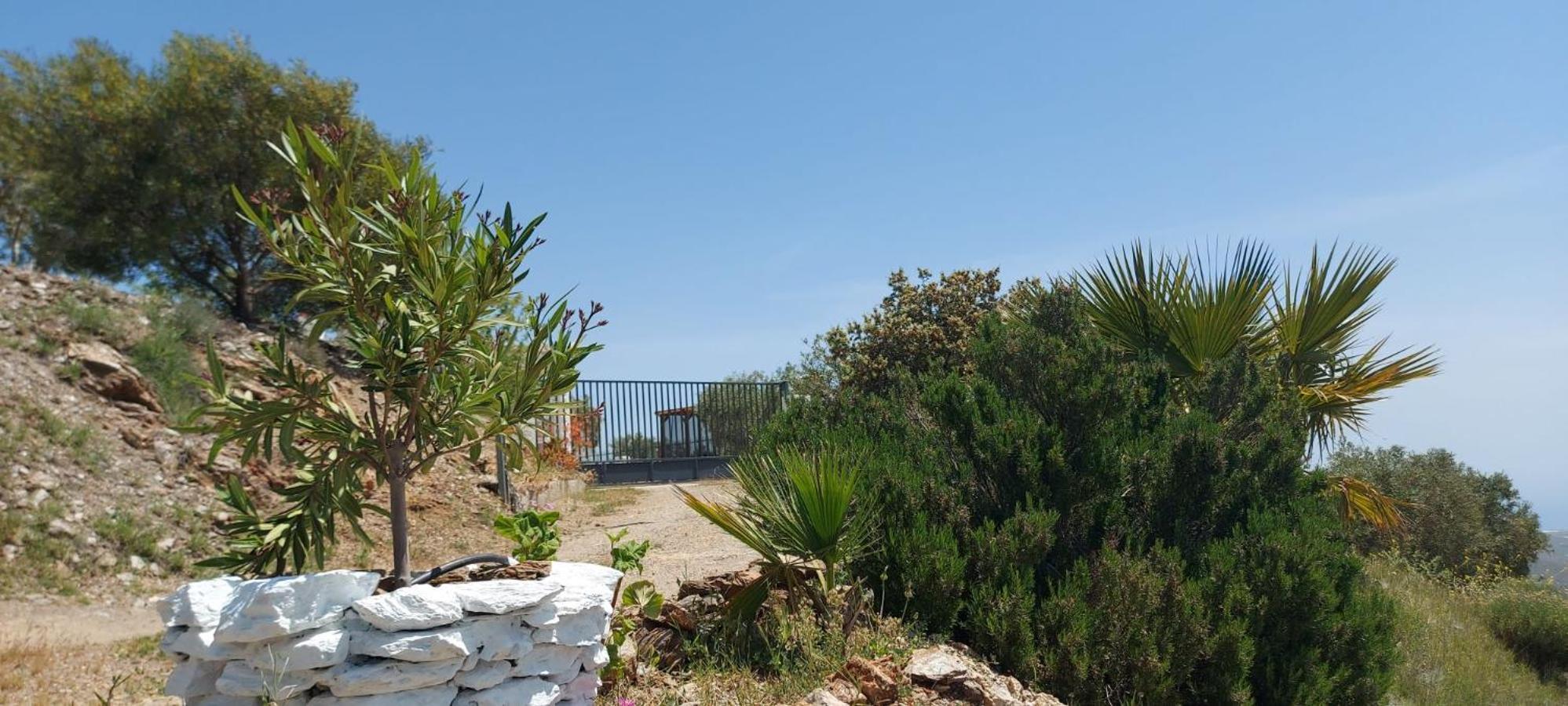 Cortijo Blanco Villa Albondon Bagian luar foto