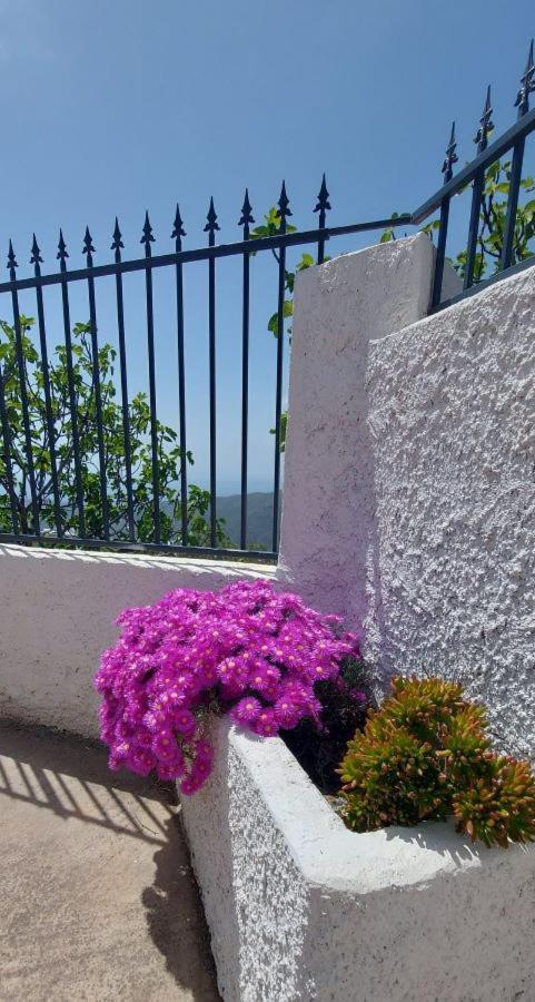 Cortijo Blanco Villa Albondon Bagian luar foto